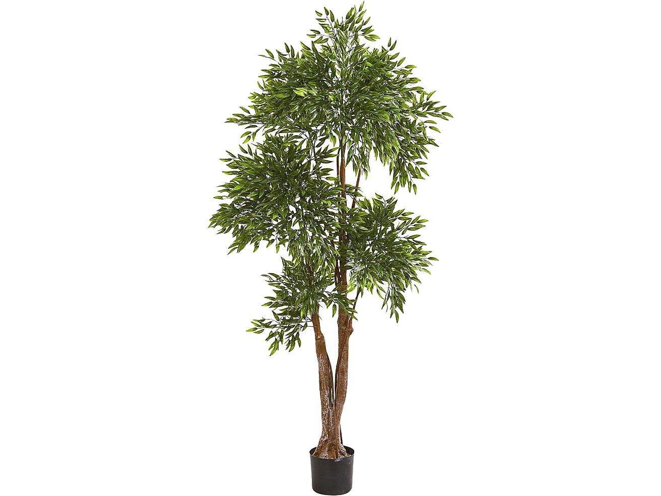 Nearly Natural Ruscus in Pot, (9147)