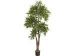 Nearly Natural Ruscus in Pot, (9147)