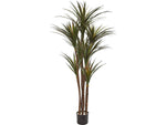 Nearly Natural Giant Yucca Tree in Pot (9152)