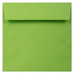 JAM Paper Square Invitation Envelopes, 5.5" x 5.5", Citrus Lime, 25/Pack (2812721)