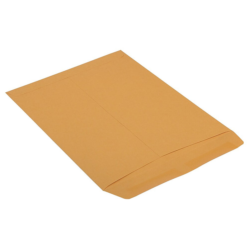 JAM Paper Premium Kraft Catalog Envelope, 10" x 13", Brown Kraft Manila, 100/Pack (V018286)