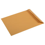 JAM Paper Premium Kraft Catalog Envelope, 10" x 13", Brown Kraft Manila, 100/Pack (V018286)