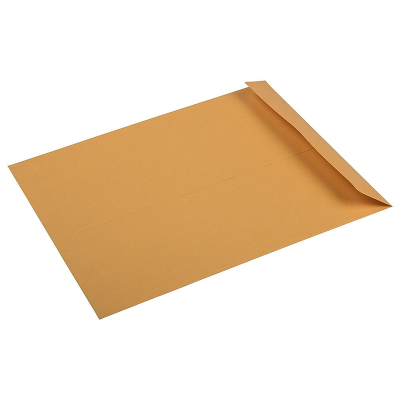 JAM Paper Premium Kraft Catalog Envelope, 10" x 13", Brown Kraft Manila, 100/Pack (V018286)