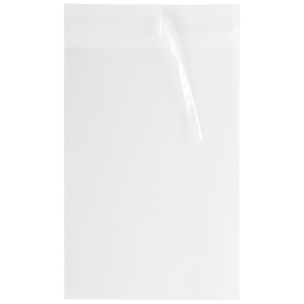 JAM PAPER Cellophane Envelope with Self Adhesive Closure, 13 7/16" x 19 1/4", Clear, 1000/Pack (V018303B)