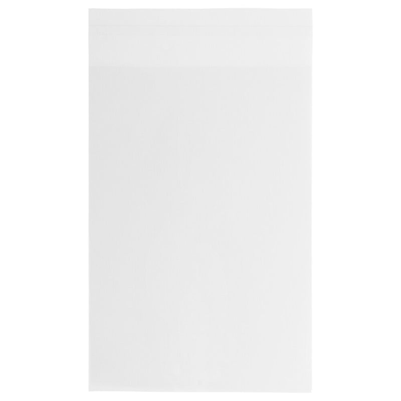JAM PAPER Cellophane Envelope with Self Adhesive Closure, 13 7/16" x 19 1/4", Clear, 1000/Pack (V018303B)