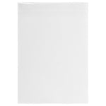JAM PAPER Cellophane Envelope with Self Adhesive Closure, 13 7/16" x 19 1/4", Clear, 1000/Pack (V018303B)