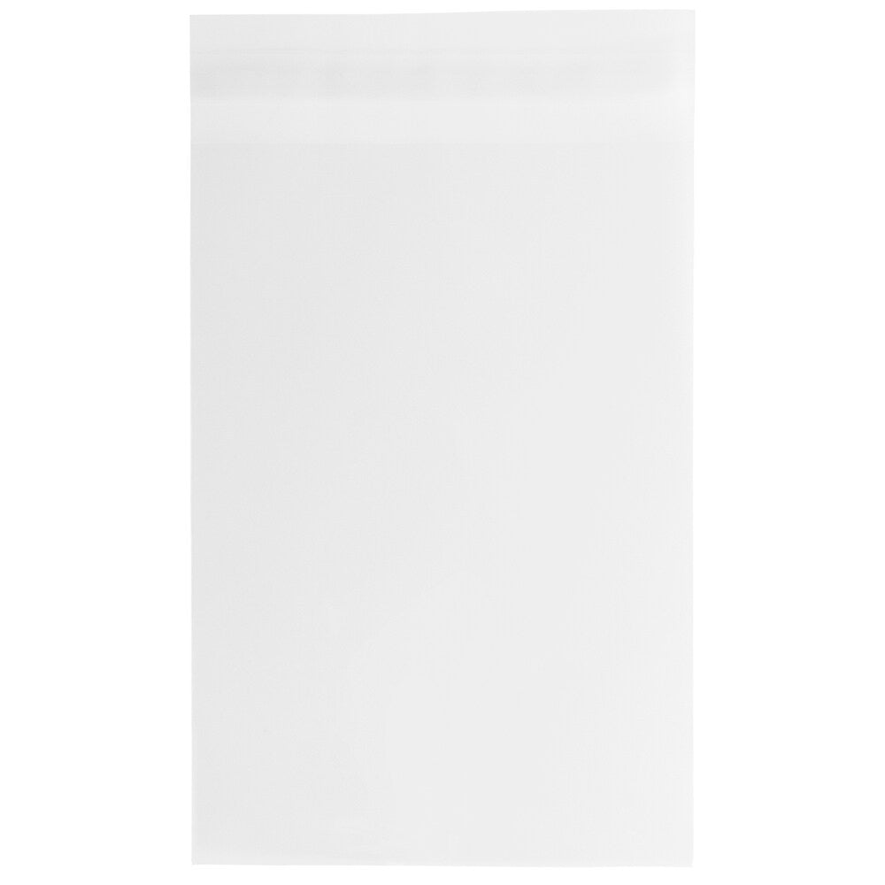 JAM PAPER Cellophane Envelope with Self Adhesive Closure, 13 7/16" x 19 1/4", Clear, 1000/Pack (V018303B)