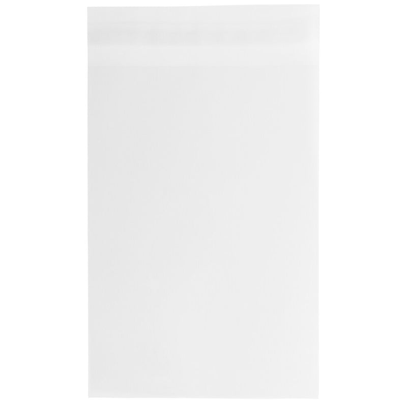 JAM PAPER Cellophane Envelope with Self Adhesive Closure, 13 7/16" x 19 1/4", Clear, 1000/Pack (V018303B)