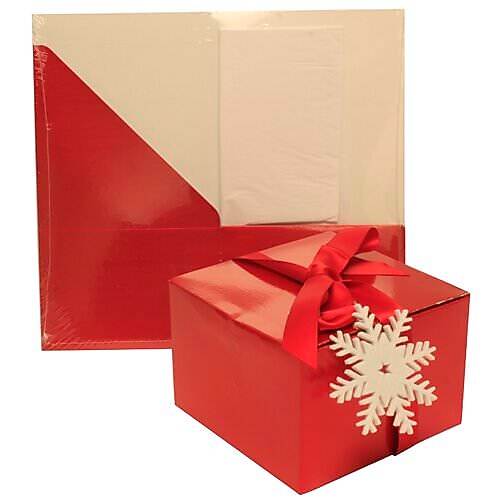JAM PAPER Glossy Box with Tissue Paper & Ribbon, Red (1157008)