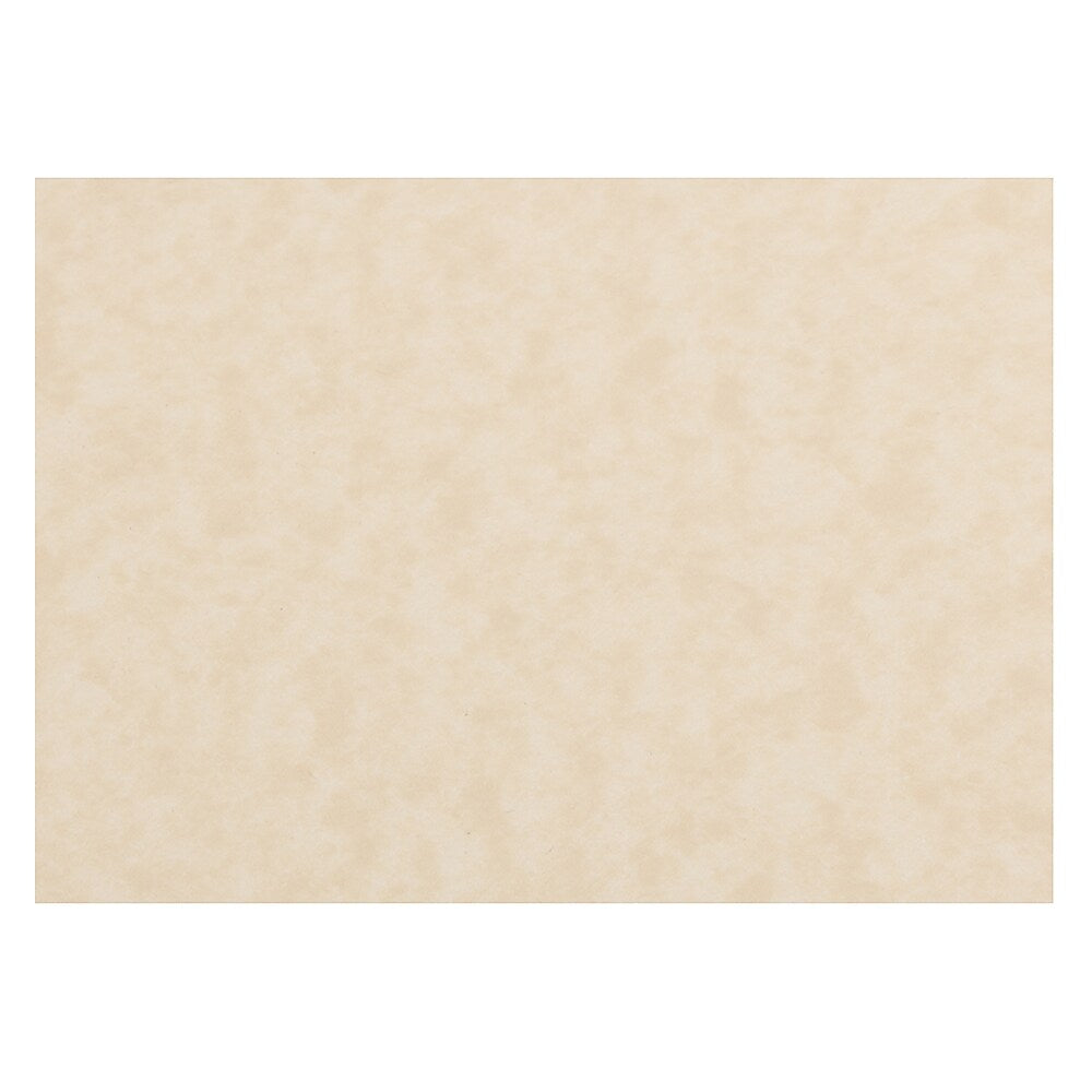 JAM PAPER Blank Flat Note Cards, 3 1/2" x 4 7/8", Natural Parchment, 50/pack (217512693)