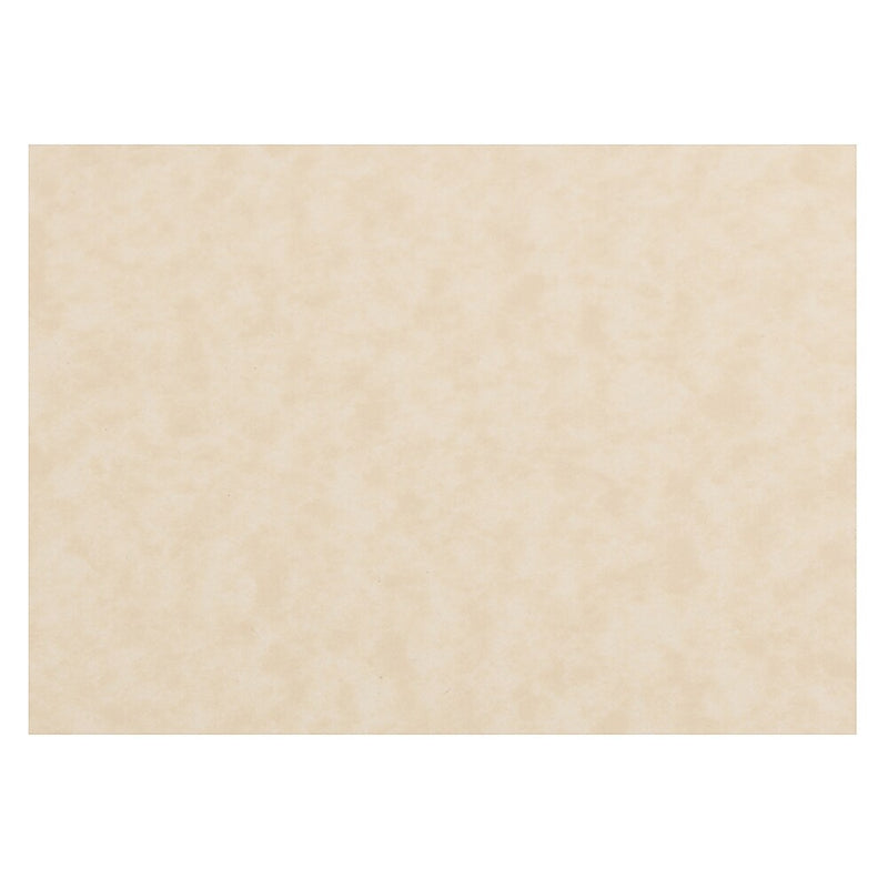 JAM PAPER Blank Flat Note Cards, 3 1/2" x 4 7/8", Natural Parchment, 50/pack (217512693)