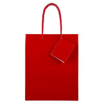 JAM Paper Glossy Gift Bags with Rope Handles, 8" x 10", Red, 3 Bags/Pack (692KRCHBR)